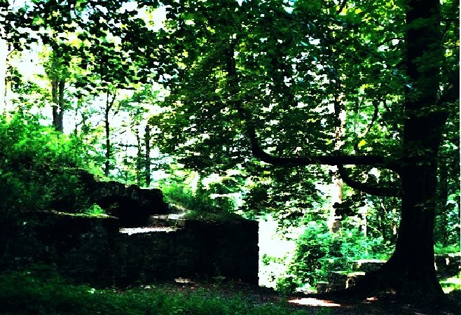 Where the plastic trees..jpg